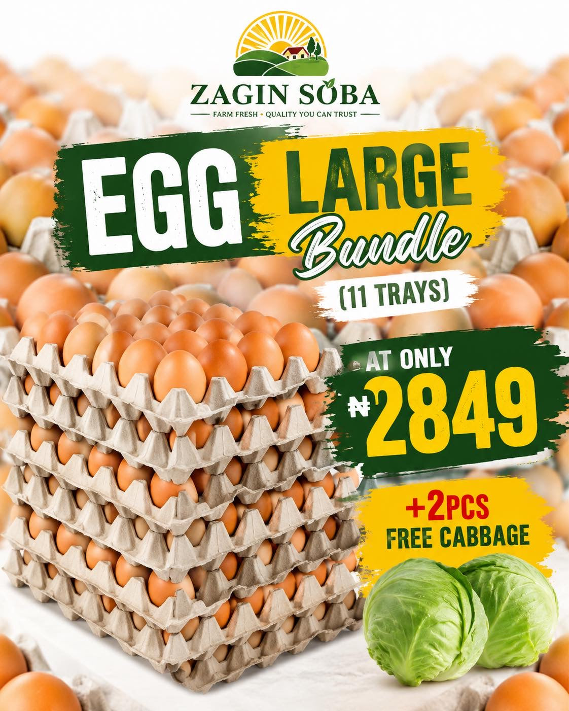 ZAG Eggs Bundle 60-65g (10+1)