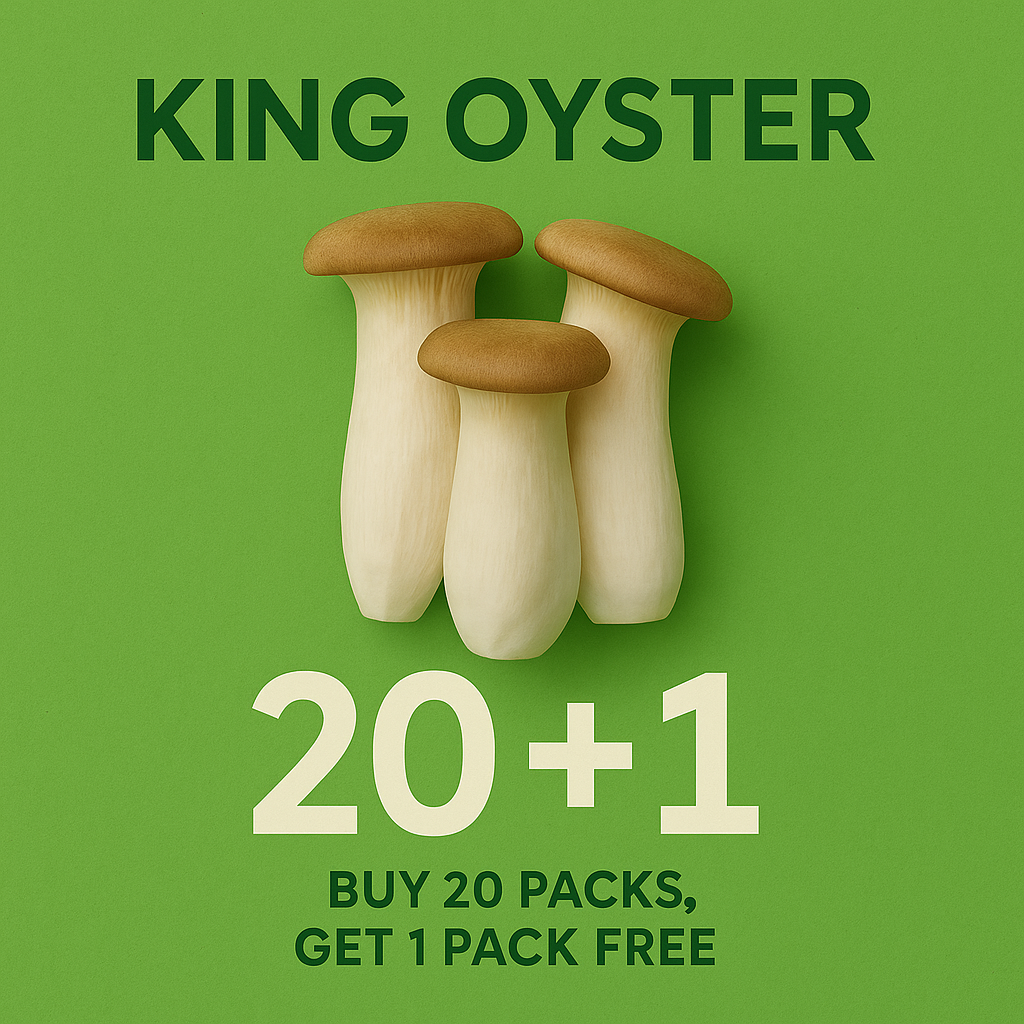 Elite King Oyster Bundle (20+1)