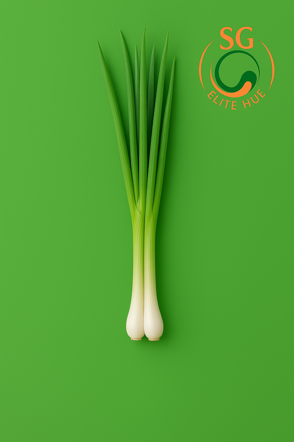 GIN Spring Onion (1 kilo)