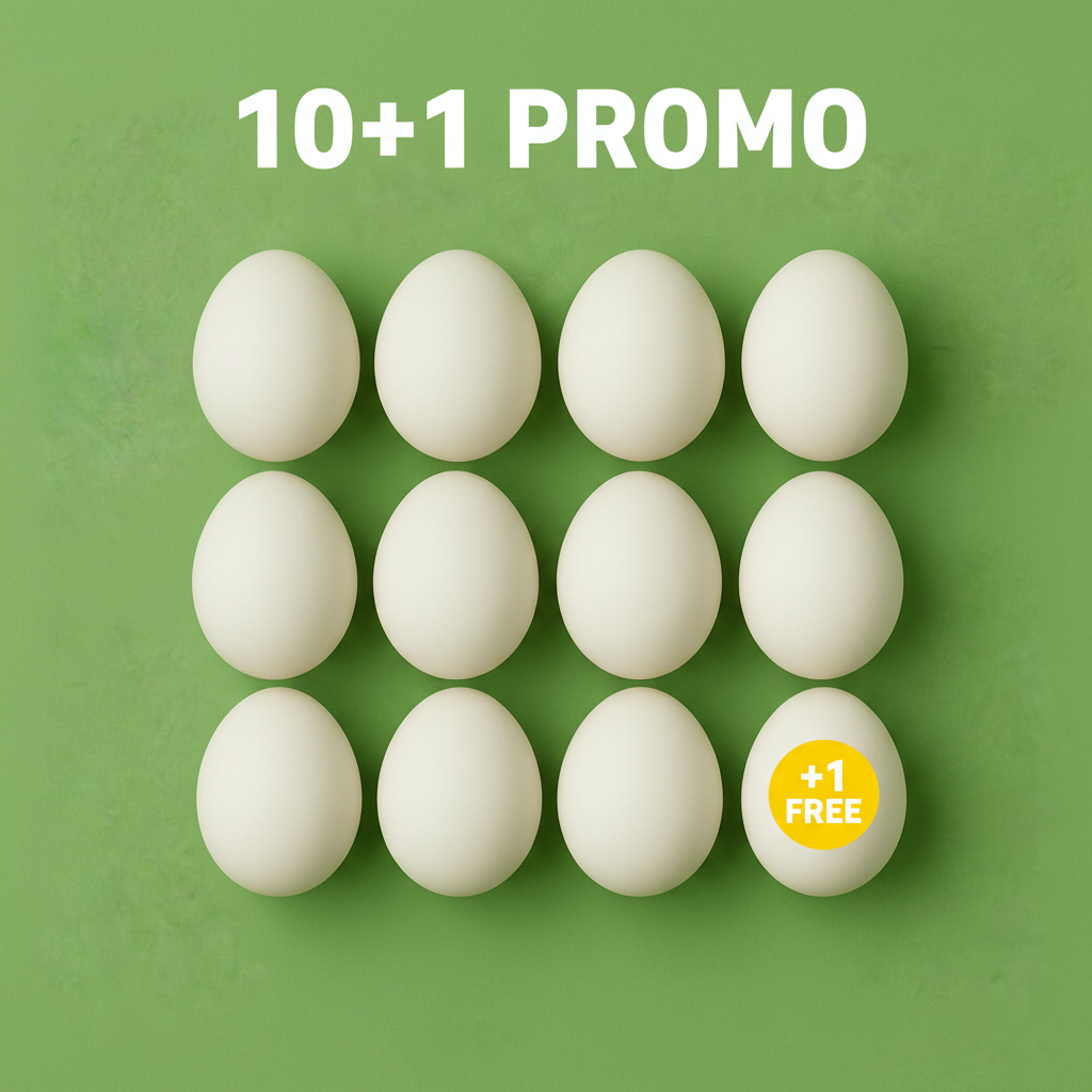 MONZA Eggs (per tray)